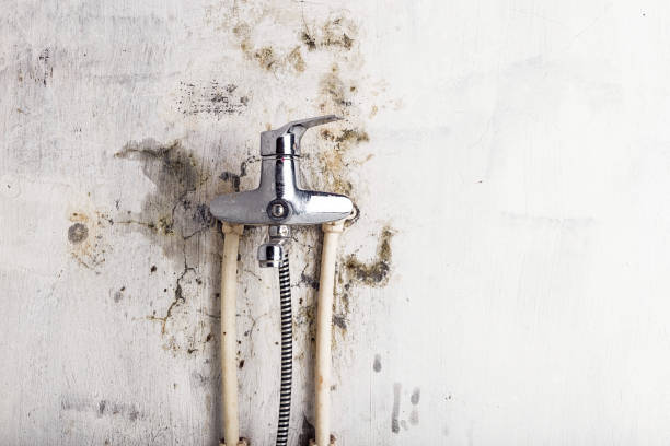 Best Water Damage Restoration  in Mccrory, AR