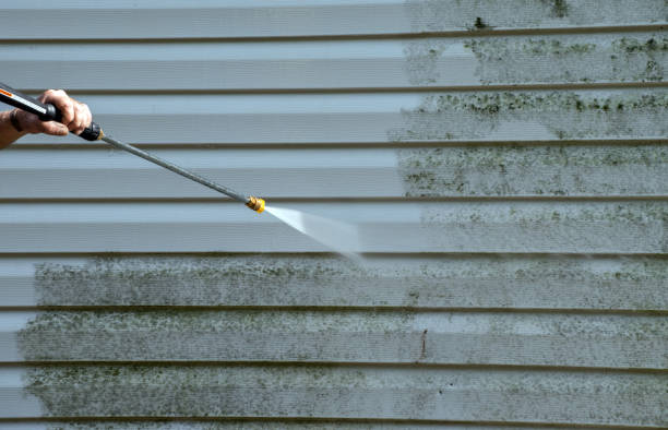 Best Mold Removal Process  in Mccrory, AR