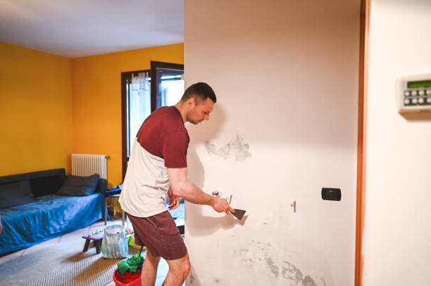 Best Professional Mold Removal  in Mccrory, AR