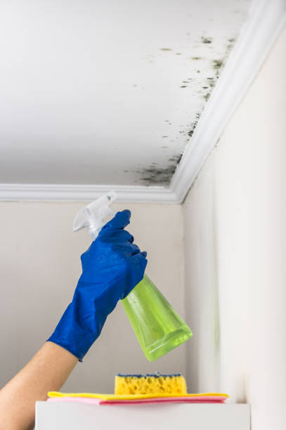 Best Crawl Space Mold Removal  in Mccrory, AR